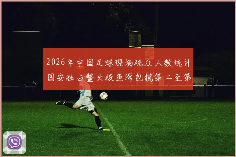 2026年中国足球现场观众人数统计国安独占鳌头梭鱼湾包揽第二至第七位